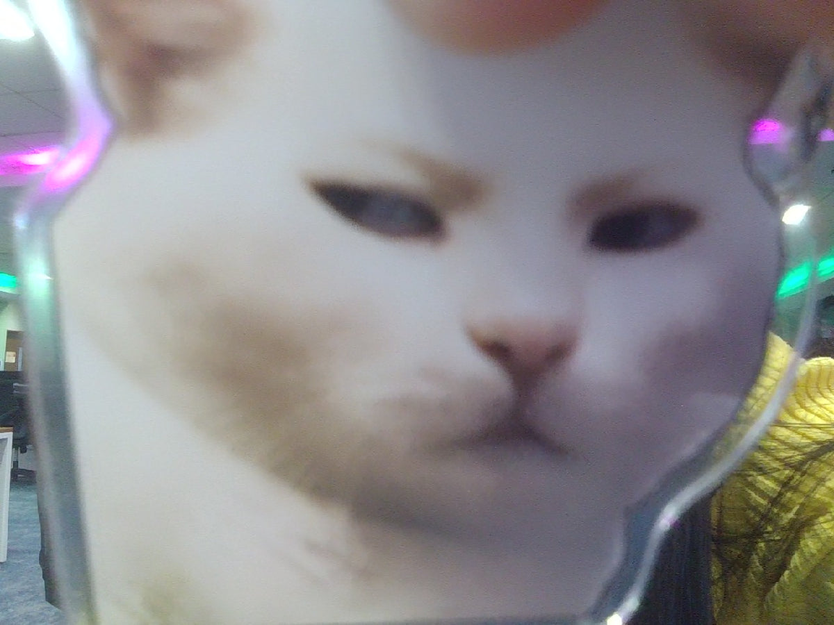 Sample