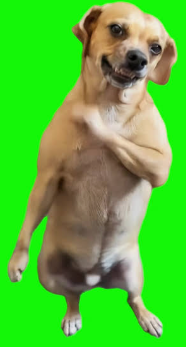 bog
